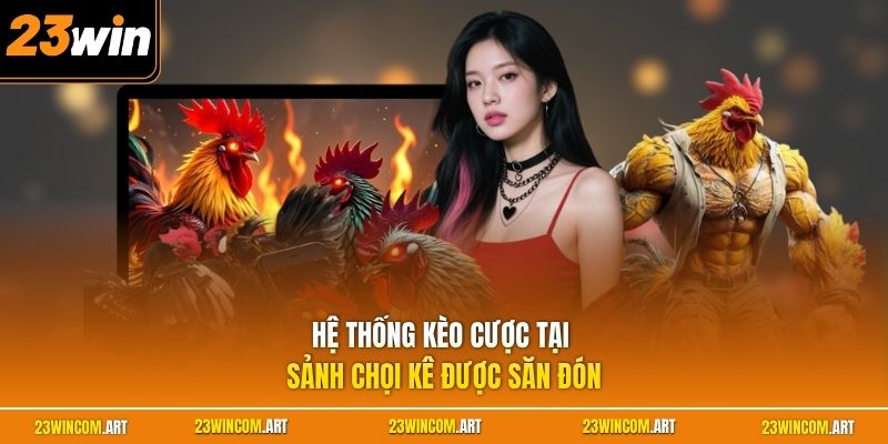 Home 25 Hệ thống kèo cược tại sảnh chọi kê được săn đón